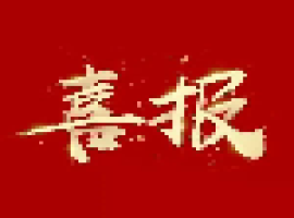 喜报 | 尊龙Z6(中国区)有限公司官方网站两家公司顺利通过ISO管理体系标准认证